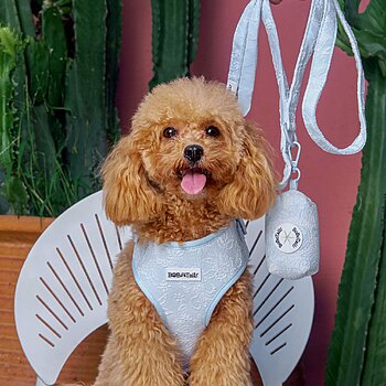 reinforced stitching dog leash