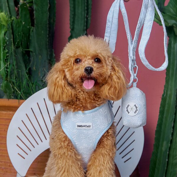 reinforced stitching dog leash