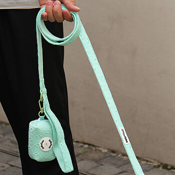 soft dog leash for small dogs
