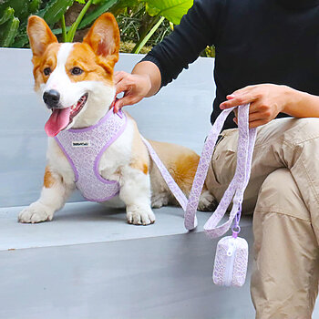 wedding dog leash