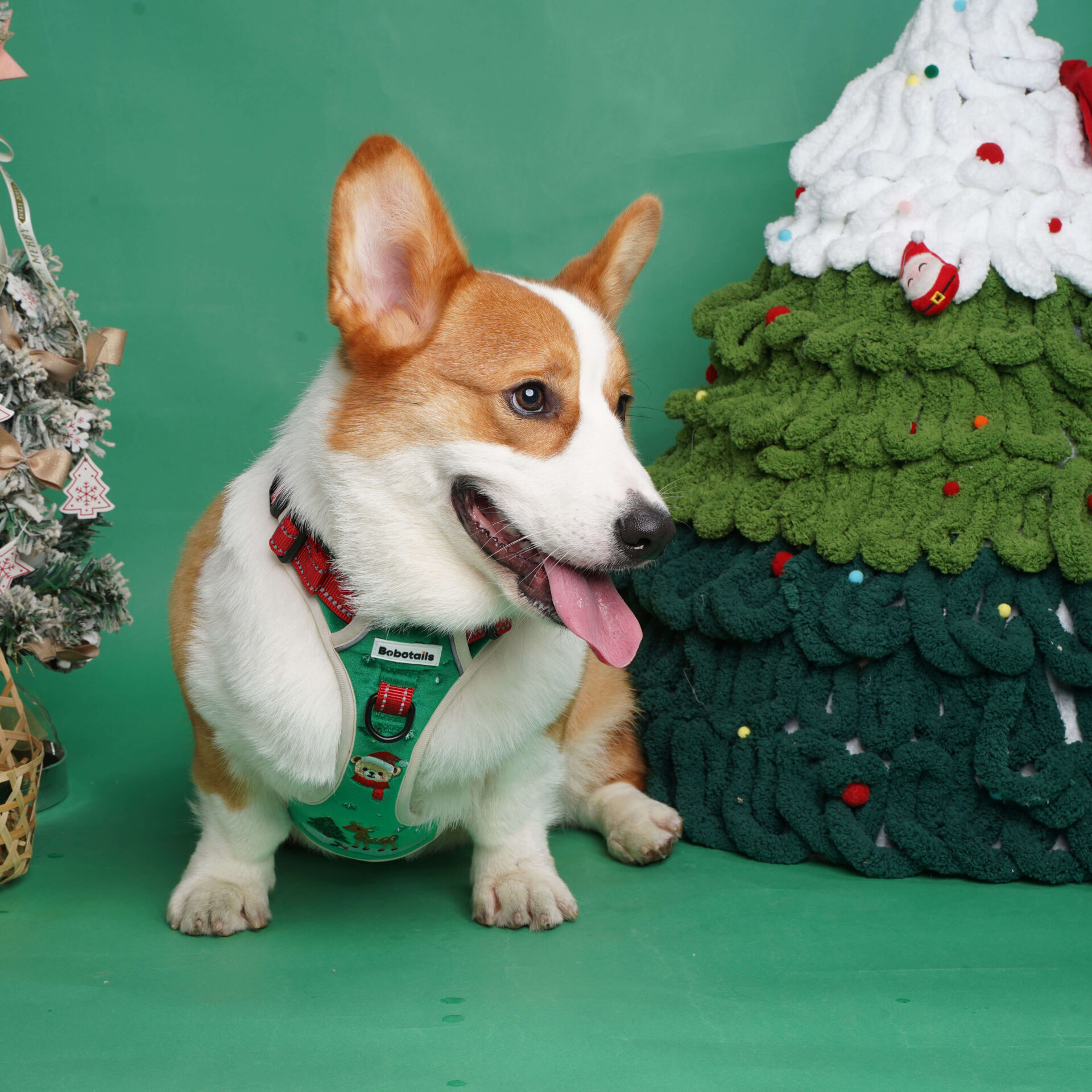 Christmas embroidery for dogs