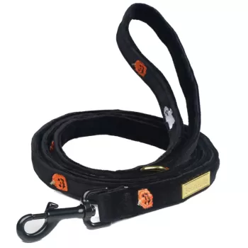 Halloween dog leash