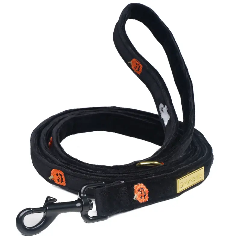 Halloween dog leash