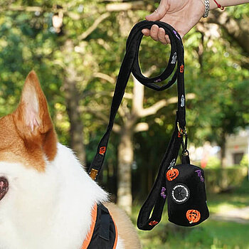 Halloween pet accessory