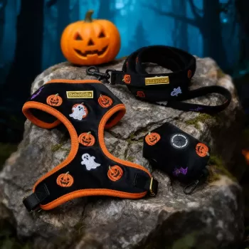 embroidered dog leash