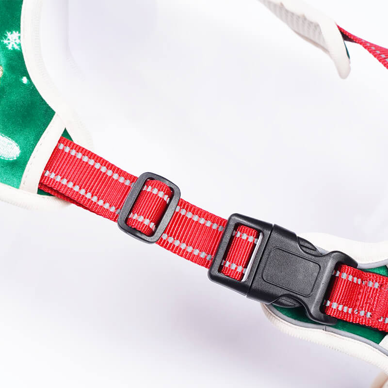 festive pet accessory